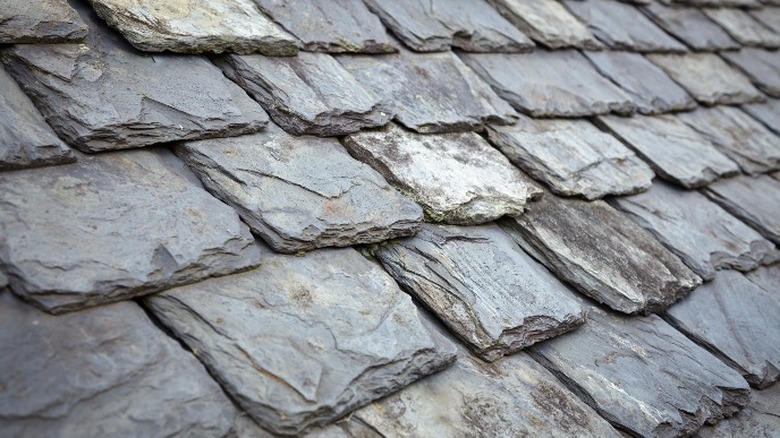 rough texture slate shingles