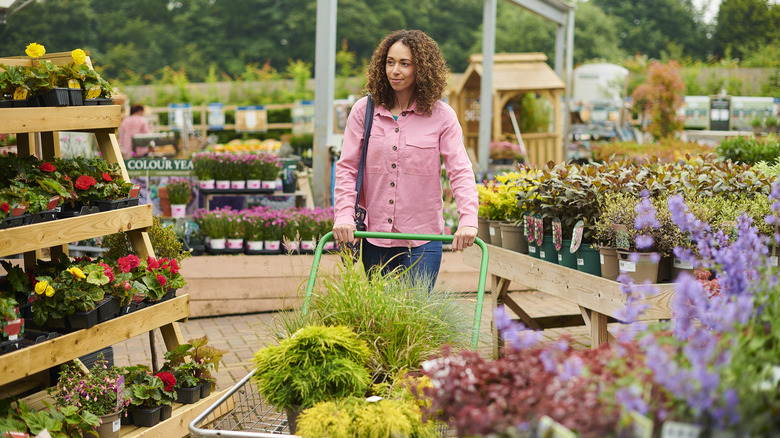 Woman shopping for plants