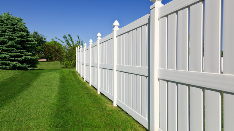 vinyl fence