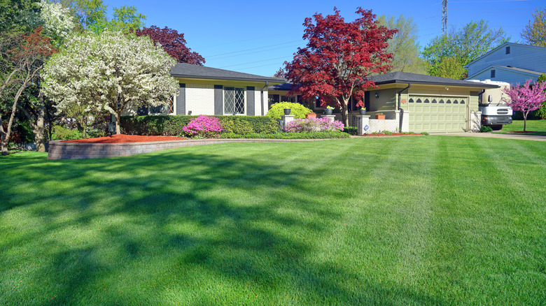 House with manicured lawn