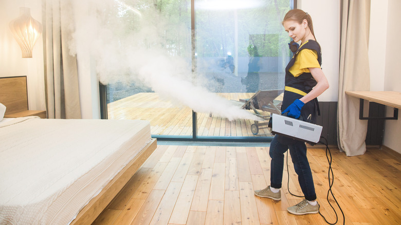 Steaming room for bed bugs