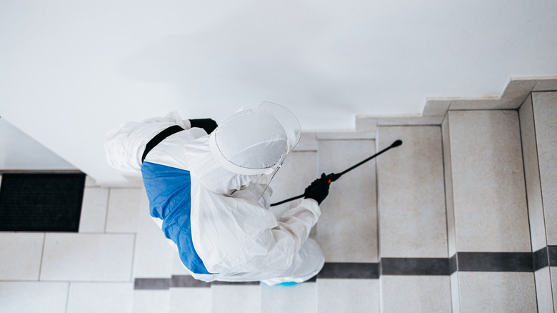 man walking upstairs with bug sprayer