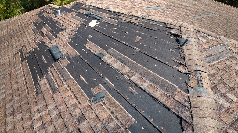 Roof with water damage and peeling shingles