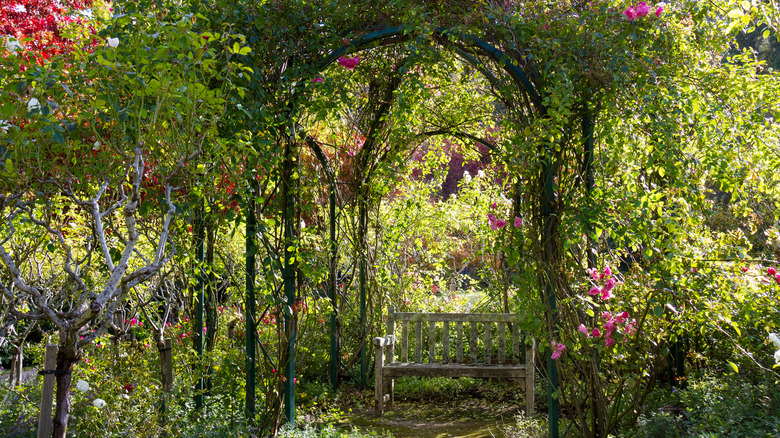 Rustic curved arbor