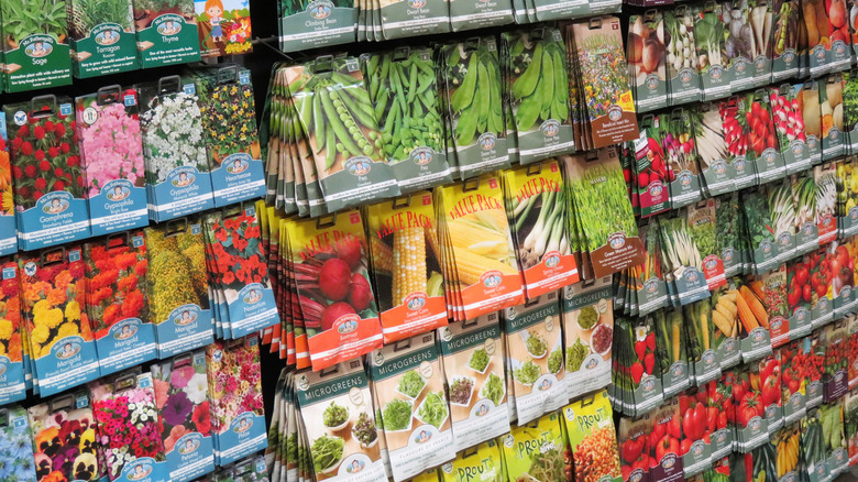 Packets of seeds along wall