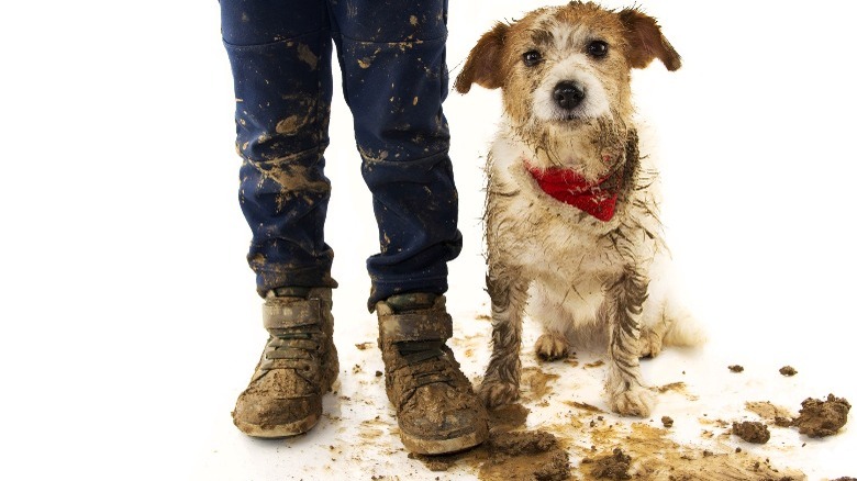 Child with muddy dog and boots