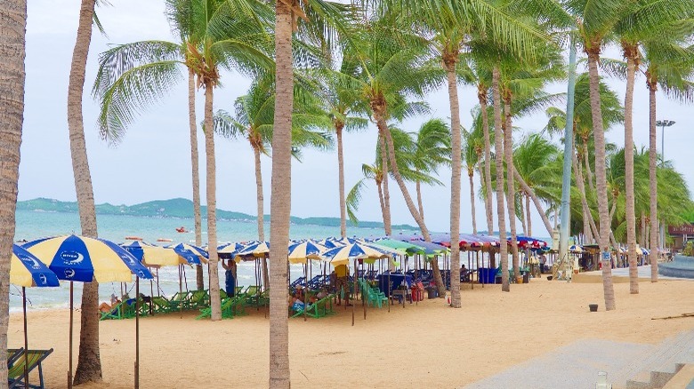 Empty beaches during COVID-19 lockdowns 