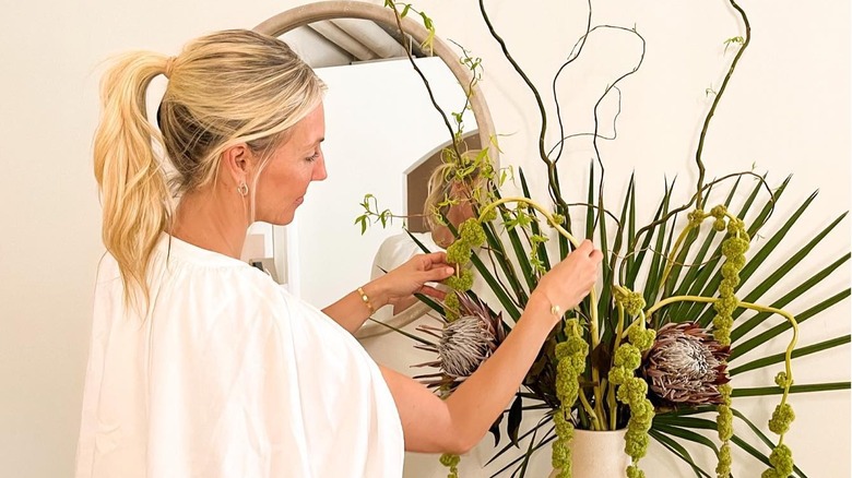 sarah braeumler decorating plants ferns