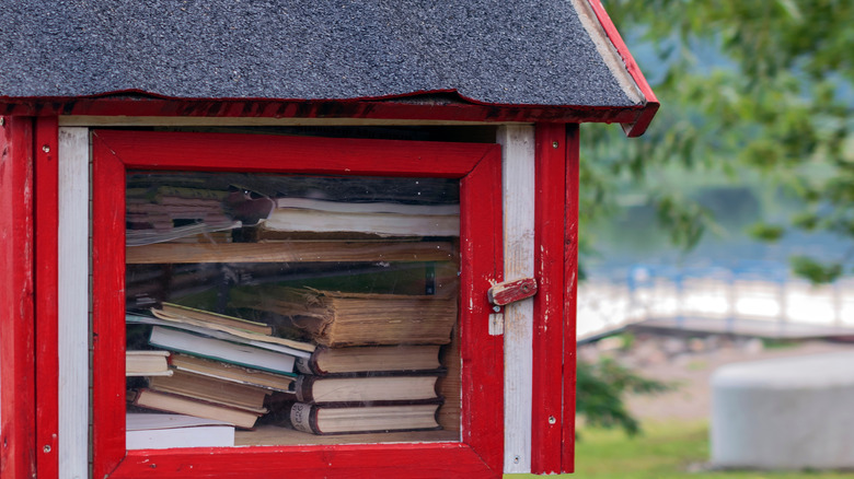 stocked Little Free Library