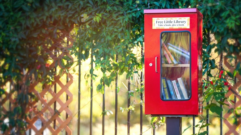 small Little Free Library