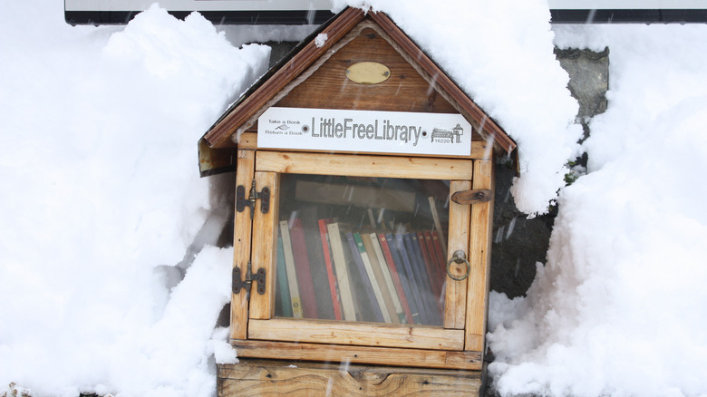 snow covered Little Free Library