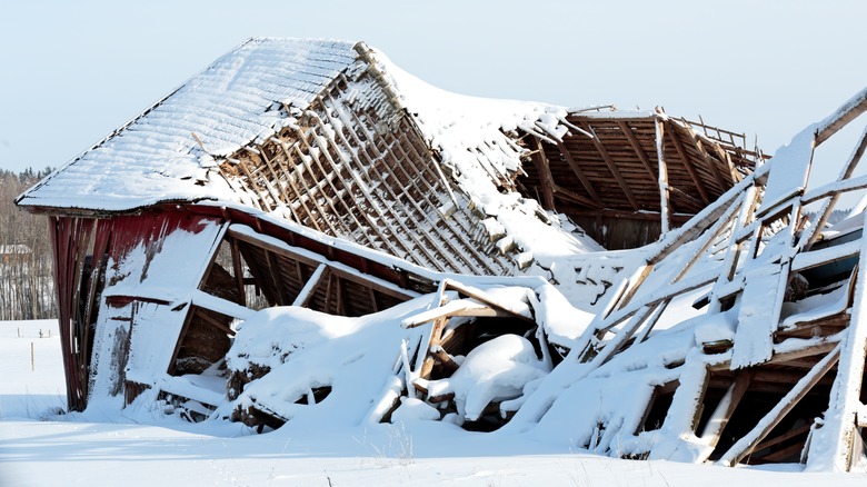 Collapsed barn in winter