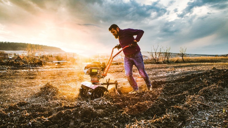 Man pushing garden tiller 