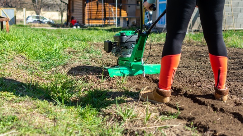 Person pushing garden tiller 