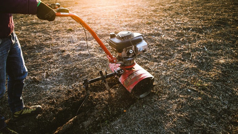 Man pushing garden tiller 