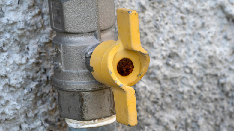 Natural gas shutoff valve closeup