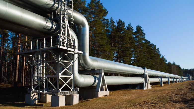 Gas pipeline with forest background