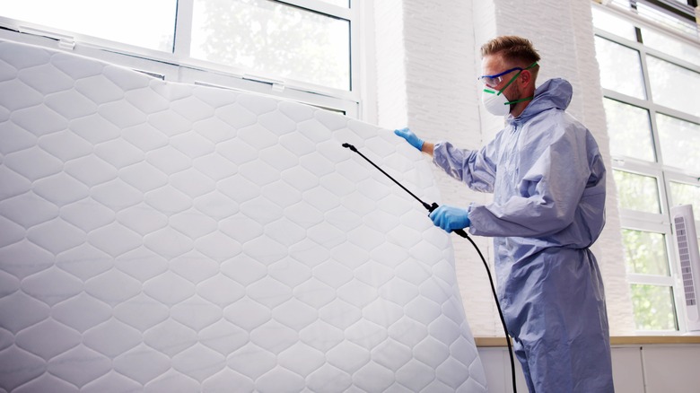 Professional cleaning mattress