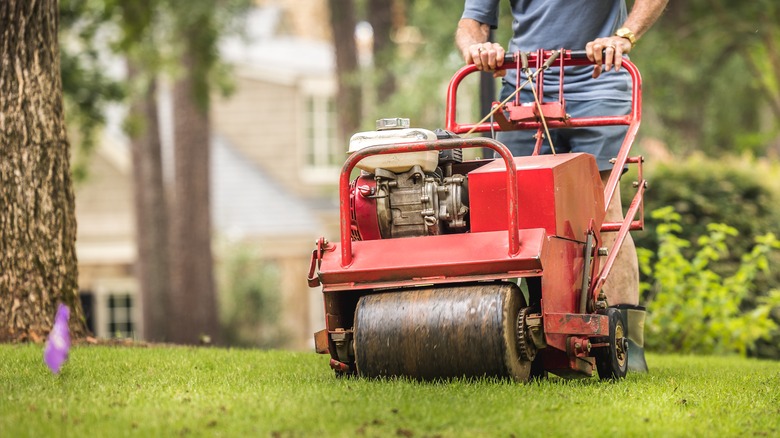 Person aerating the lawn