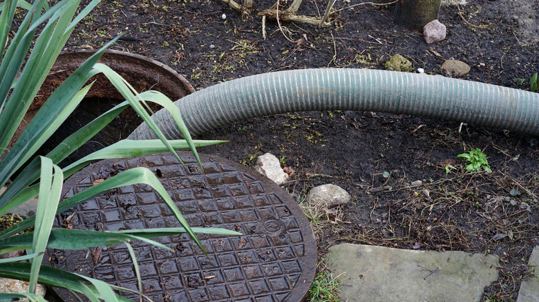 pumping a septic tank