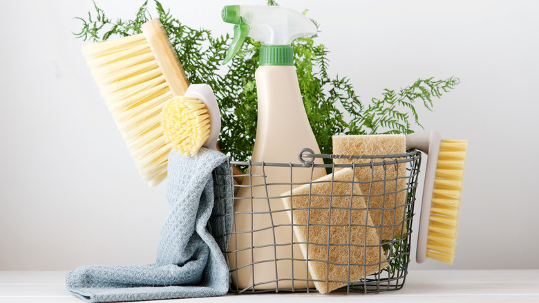 eco friendly cleaning supplies