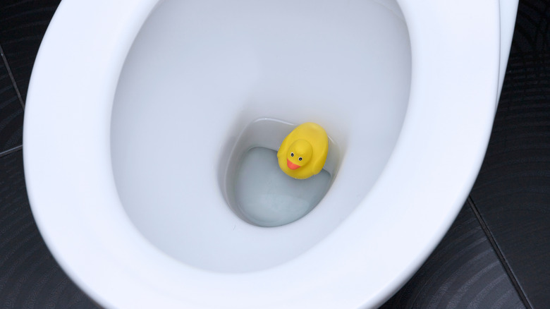 toy duck in toilet bowl