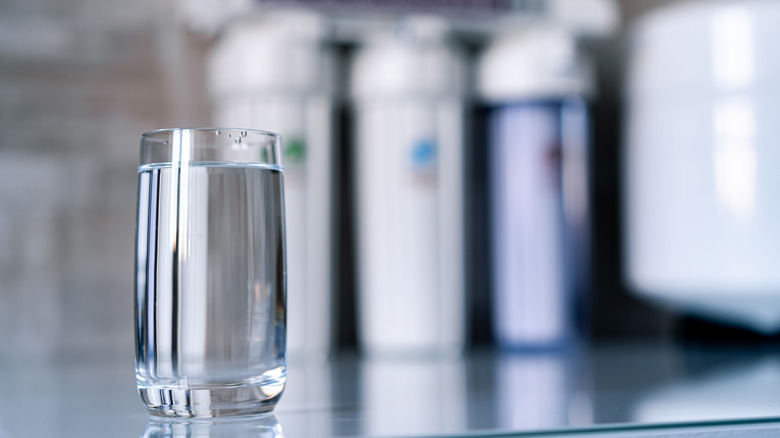 Glass of water with filtration system 