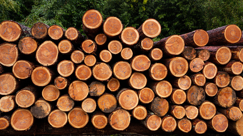 Wooden logs stacked on each other