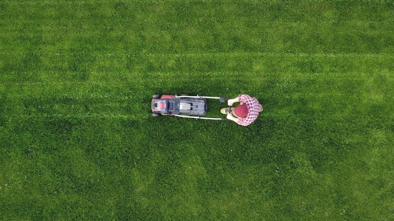 person mowing large yard