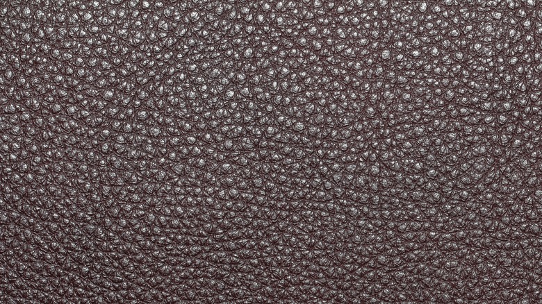 View of aniline leather