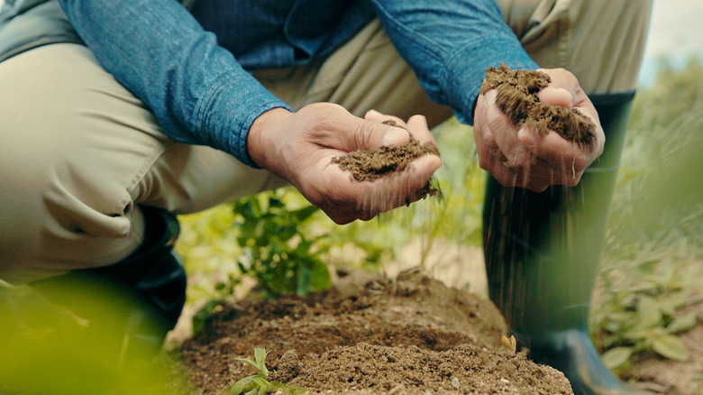 man holding sandy soil