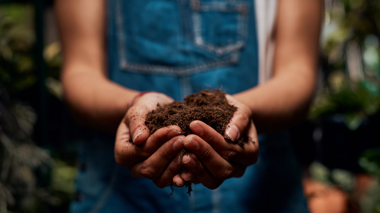 woman holding soil