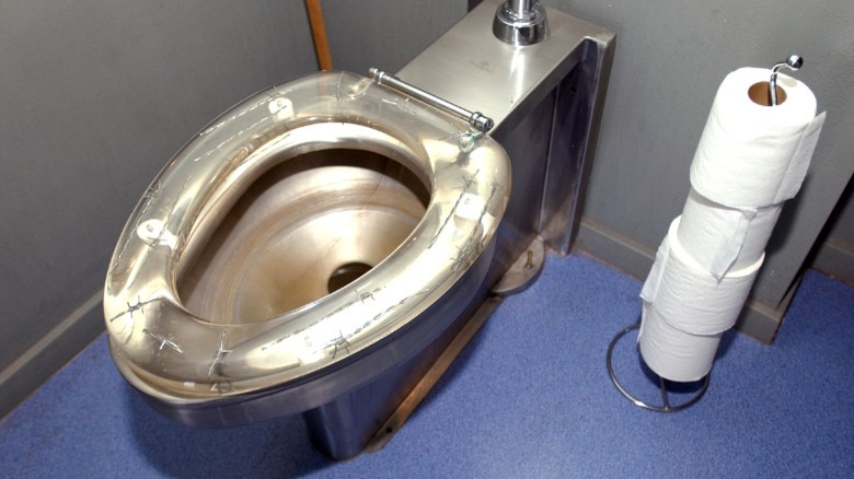 Stainless steel power flush toilet 