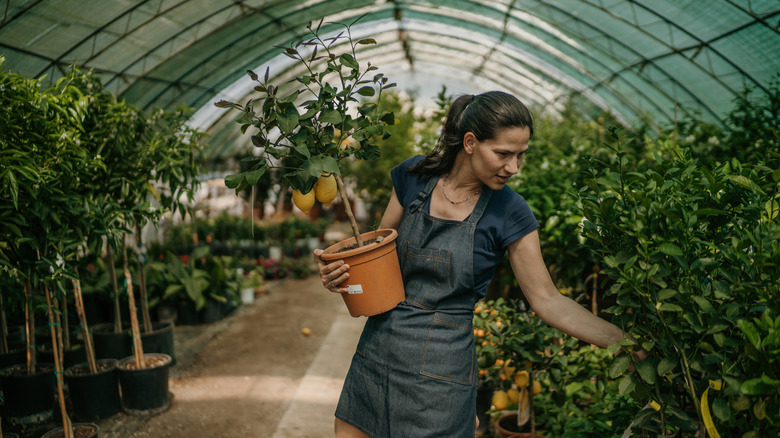 woman looking at plants