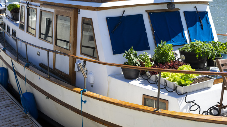 houseboat with garden