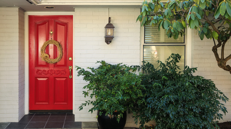 Red front door and plants