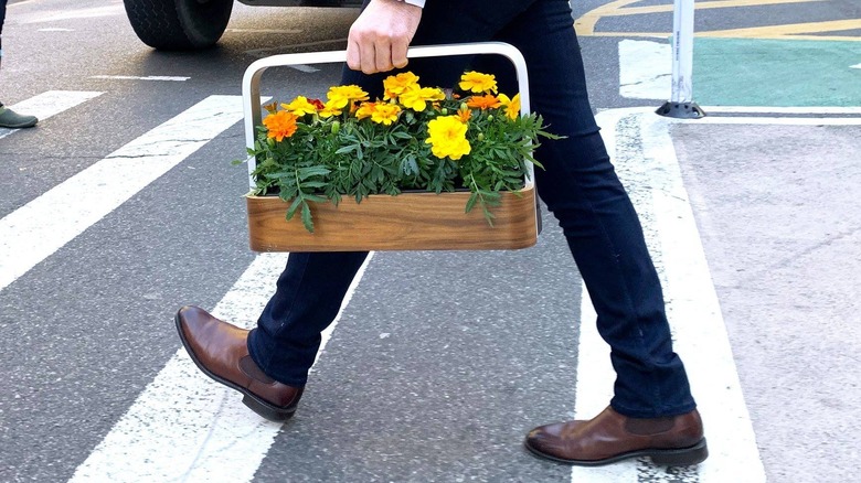 Person in crosswalk holding flowers