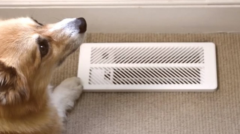 person adjusting smart thermostat