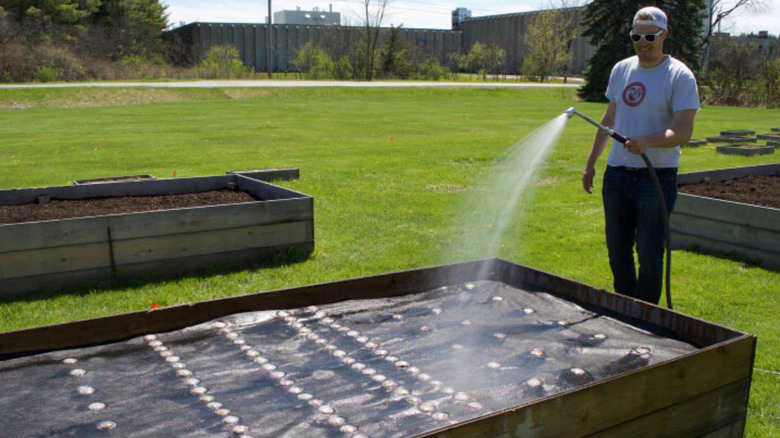 man watering plants