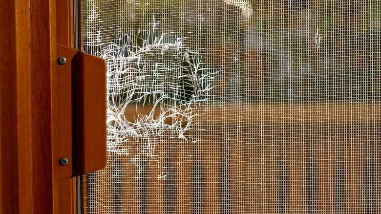 damaged screen door