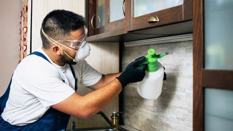 exterminator spraying in kitchen