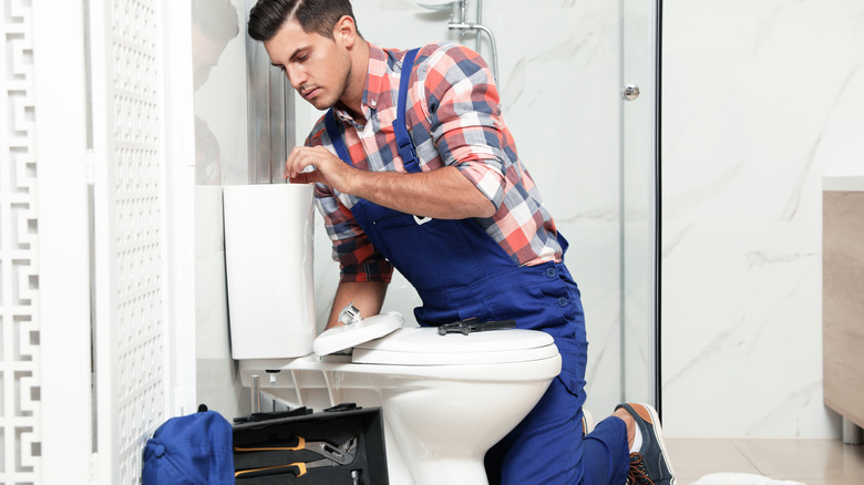 plumber fixing a toilet