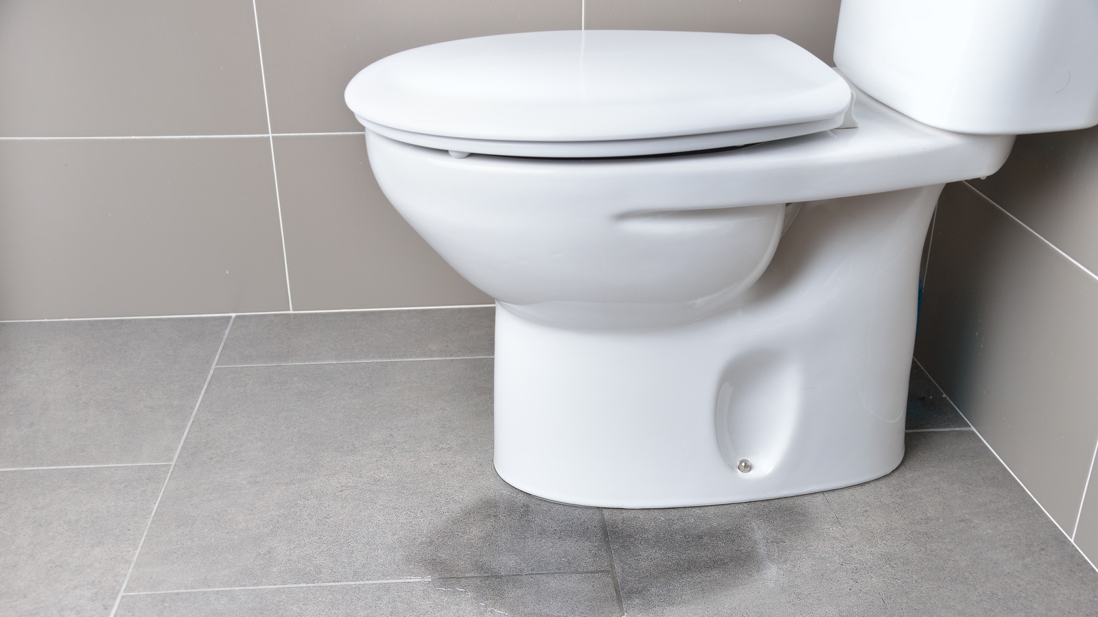 What s Causing Your Toilet To Leak At The Base And How Can You Fix It 