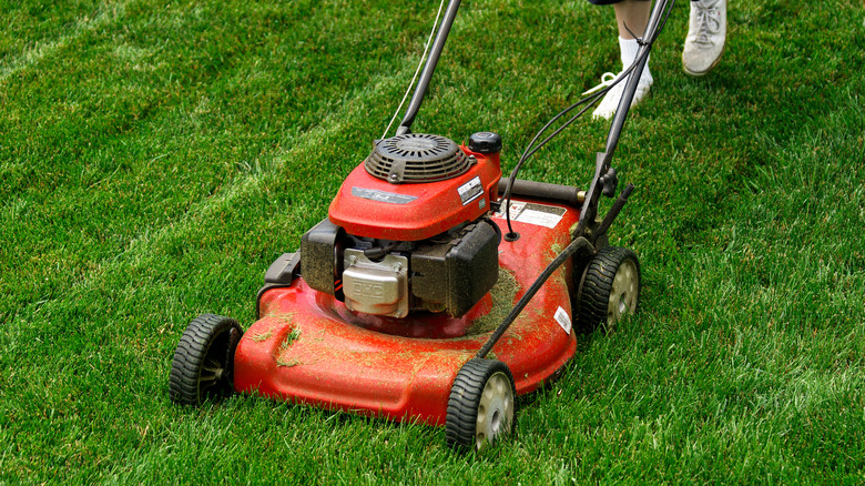 person mowing grass