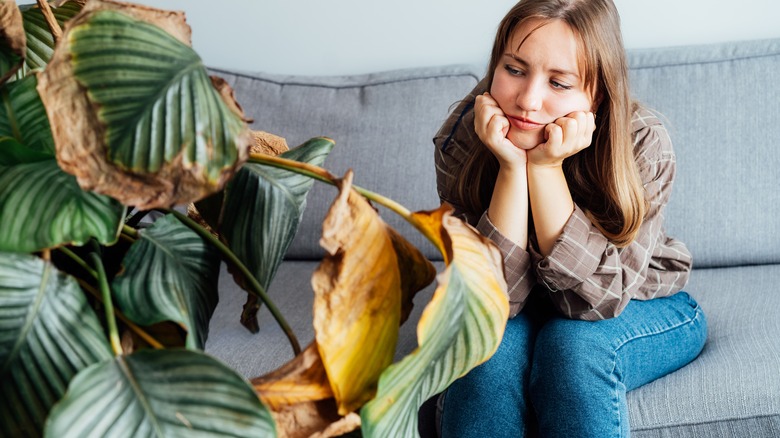 woman looking at dying plant