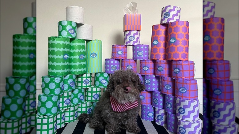 stack of recycled toilet paper