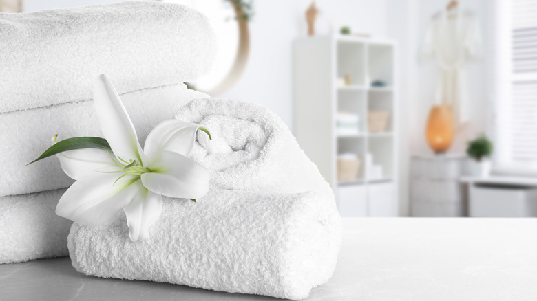 What is the Difference Between a Bath Towel and Bath Sheet? - My Linen