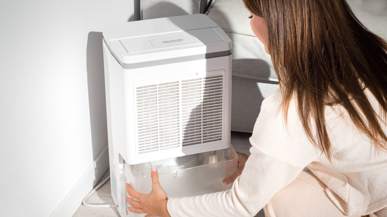 Woman emptying dehumidifier 