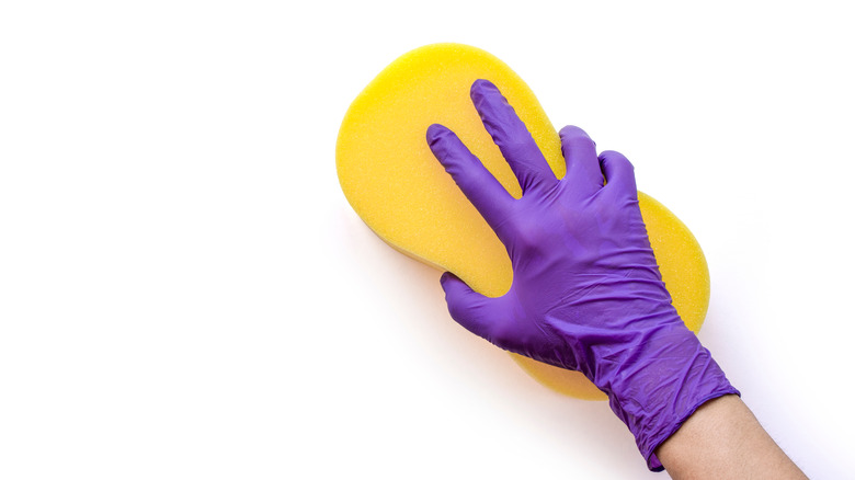 Gloved hand cleaning wall with sponge