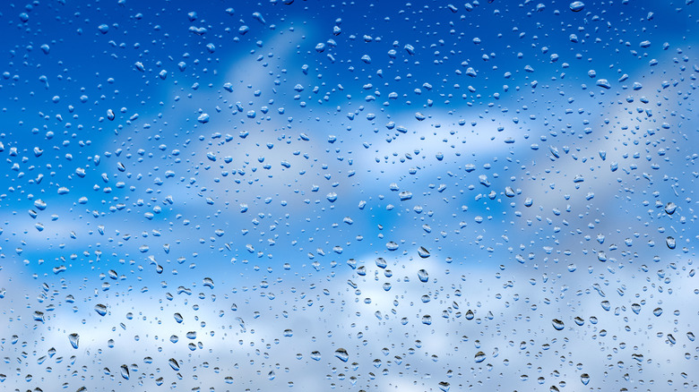 raindrops on glass